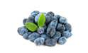 Hello, I have frozen Kamchatka berry for sale. Feel